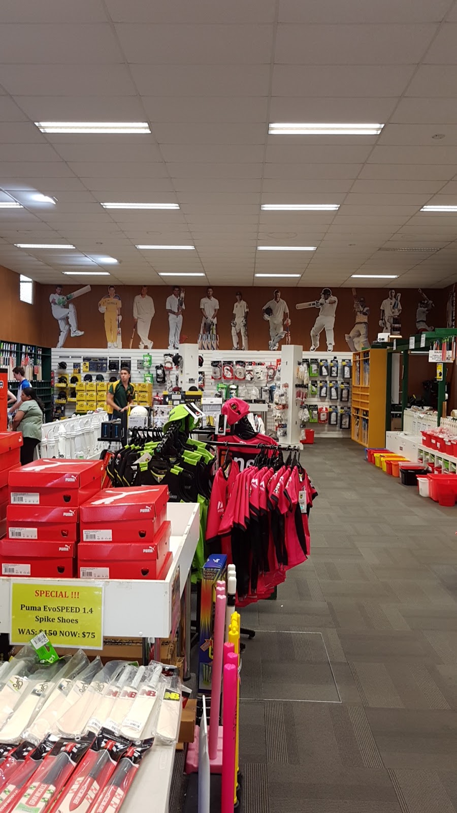 Kingsgrove Sports Centre | store | 179 Kingsgrove Rd, Kingsgrove NSW 2208, Australia | 0295024533 OR +61 2 9502 4533