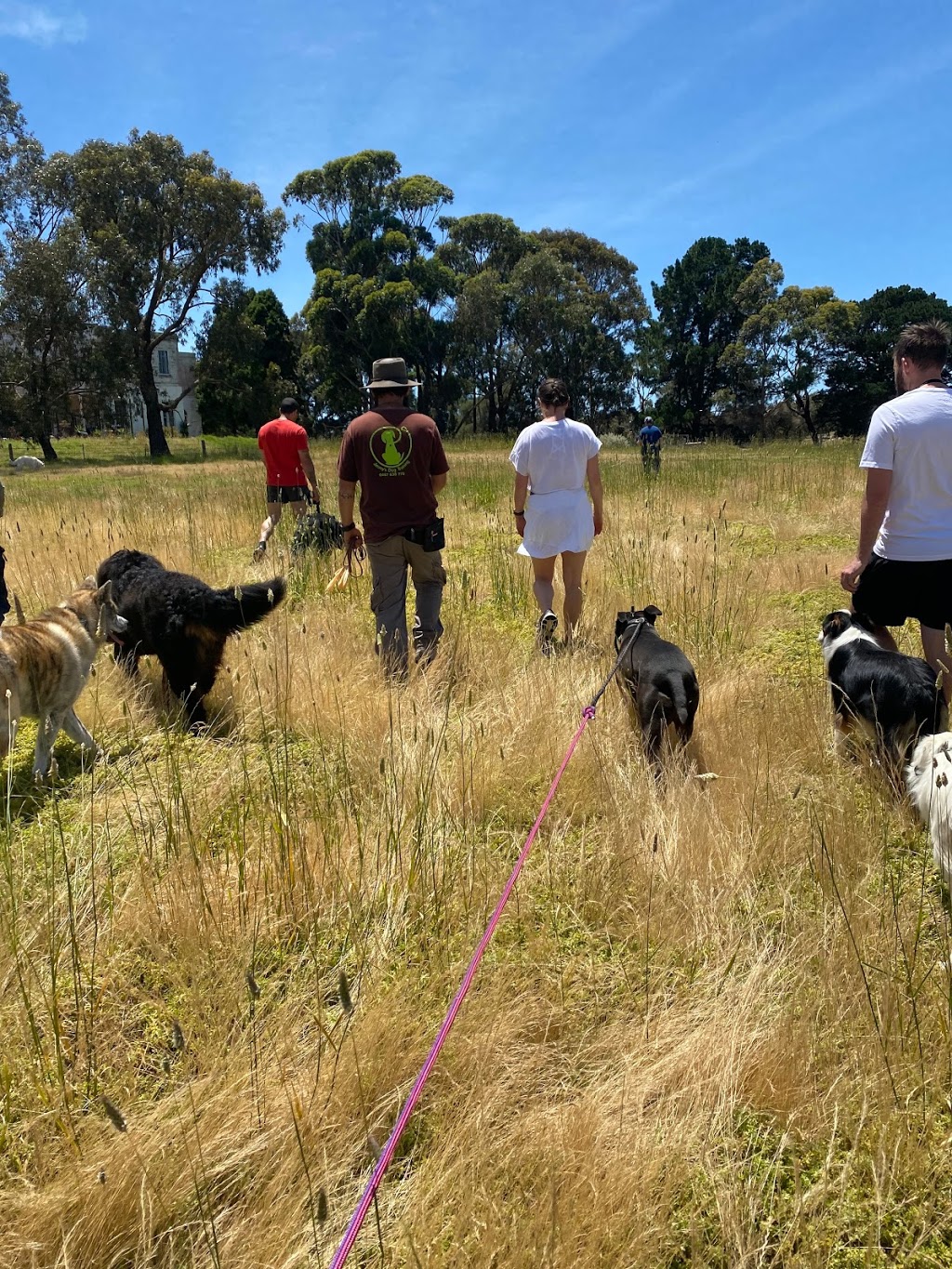 Jimmys Dog Training | 221 Lings Rd, Wallington VIC 3222, Australia | Phone: 0423 698 364