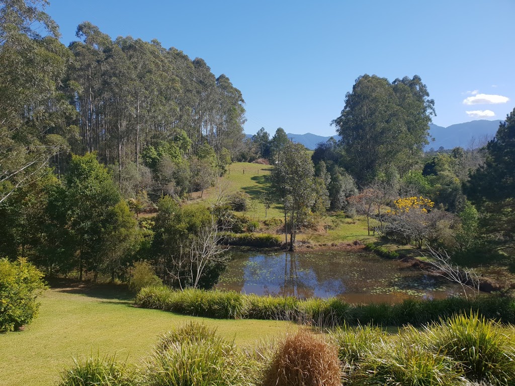 Lilypad Luxury Cabins | lodging | 241 Hydes Creek Rd, Bellingen NSW 2454, Australia | 0419770687 OR +61 419 770 687