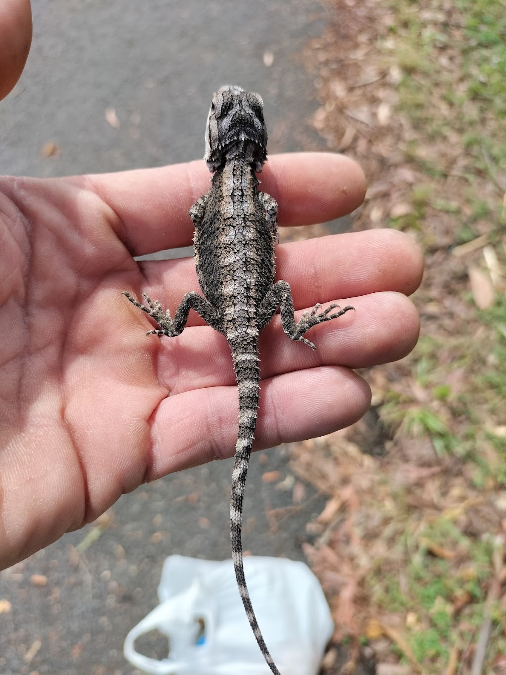 Running Wild Outdoors | 172 High St, Russell Island QLD 4184, Australia | Phone: 0473 435 086