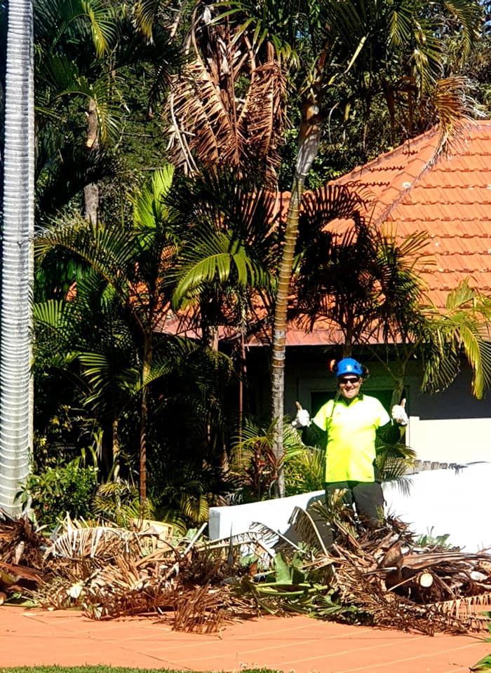 Silver Fern Tree Services | Phar Lap Cct, Port Macquarie NSW 2444, Australia | Phone: 0401 806 329