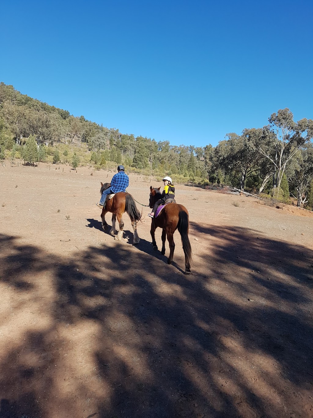 Inglevale Heritage Farm Trail Riding | travel agency | 7183 The Escort Way, Eugowra NSW 2806, Australia | 0417592222 OR +61 417 592 222