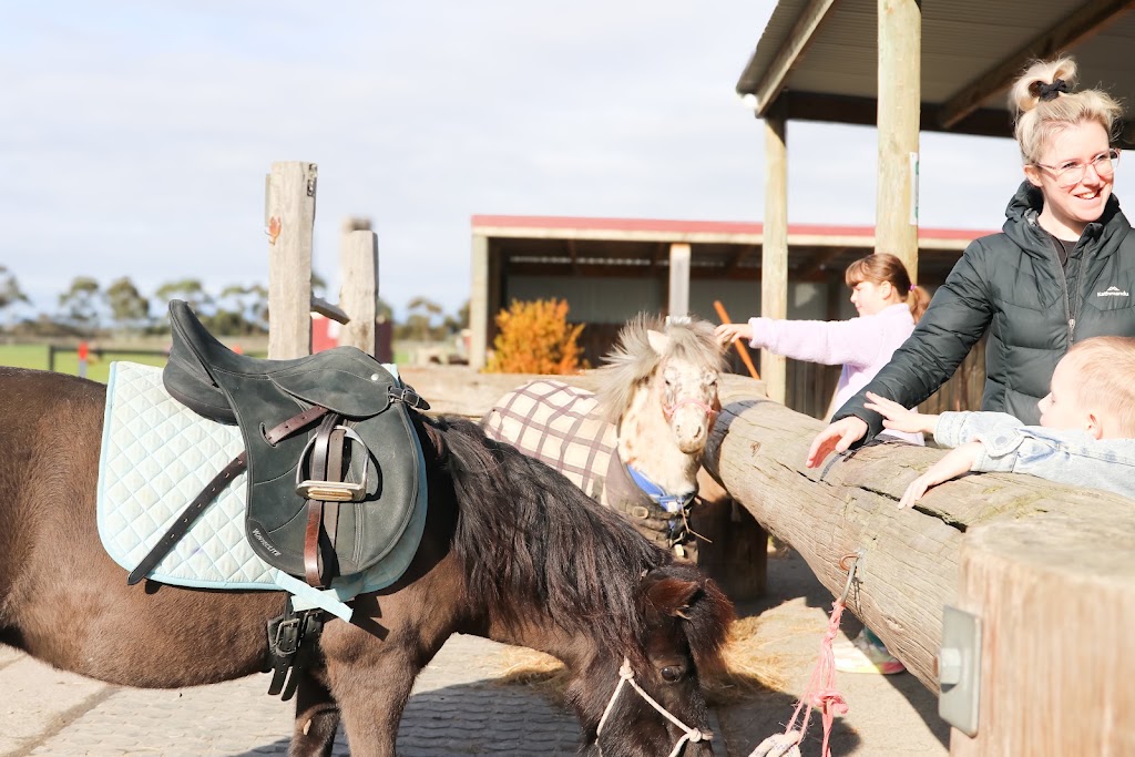 Able Life Hub | 85 Adeneys Rd, Devon Meadows VIC 3977, Australia | Phone: 0457 411 544
