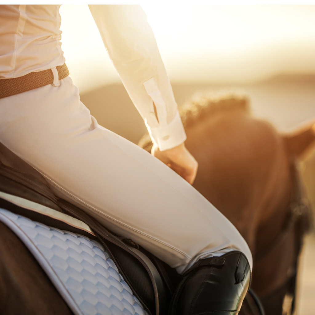 Evolve with Horse Coaching | 251 Old Hume Hwy, Glenrowan VIC 3675, Australia | Phone: 0419 513 788