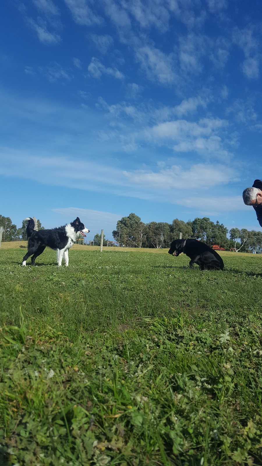 Sherlock Family Playground | 137 Dunns Rd, Mount Martha VIC 3934, Australia