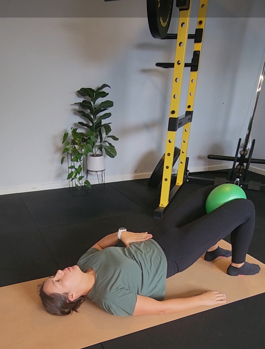 Evolv Studio Exercise Physiology | 63 Sunningdale Cct, Medowie NSW 2318, Australia | Phone: 0447 509 554