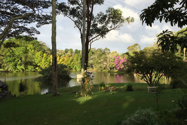 The Maleny Lake Cottages | lodging | 71 McCarthy Rd, Maleny QLD 4552, Australia | 0417741165 OR +61 417 741 165