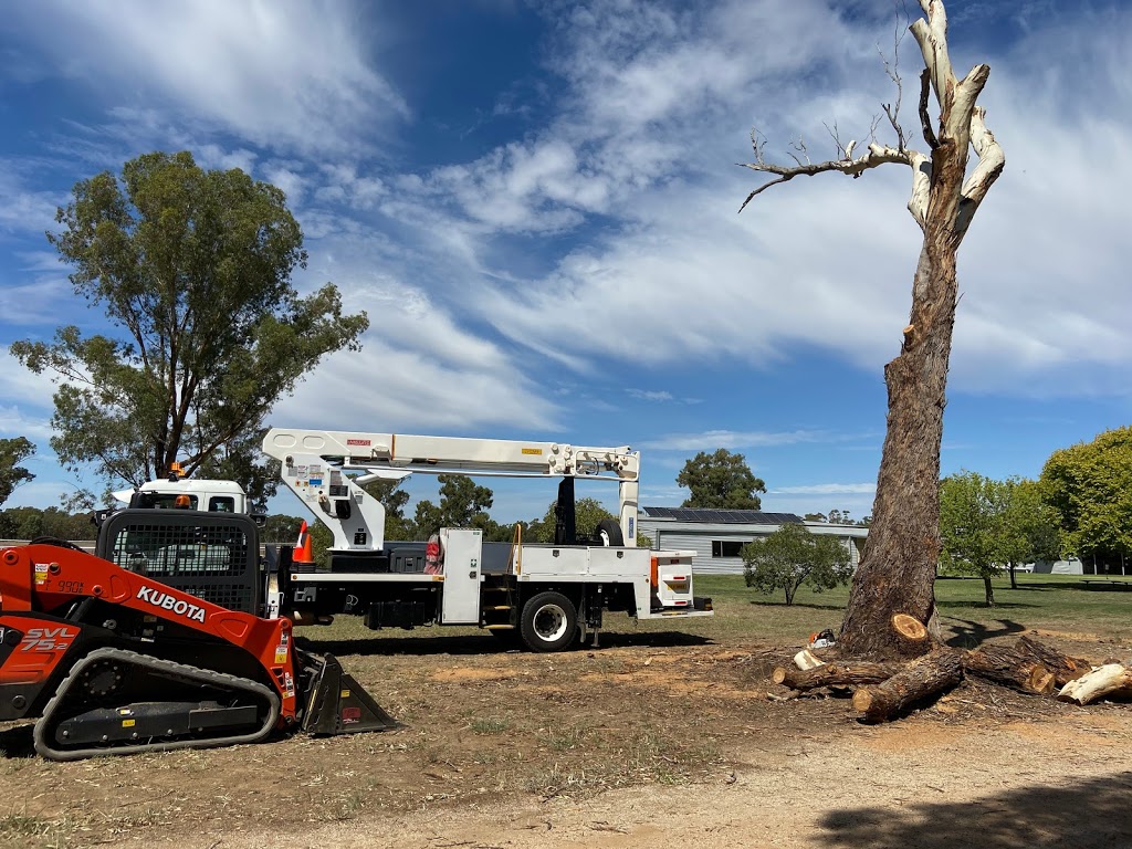 Murray River Tree Services | Pasley St, Bundalong VIC 3730, Australia | Phone: 0437 799 837