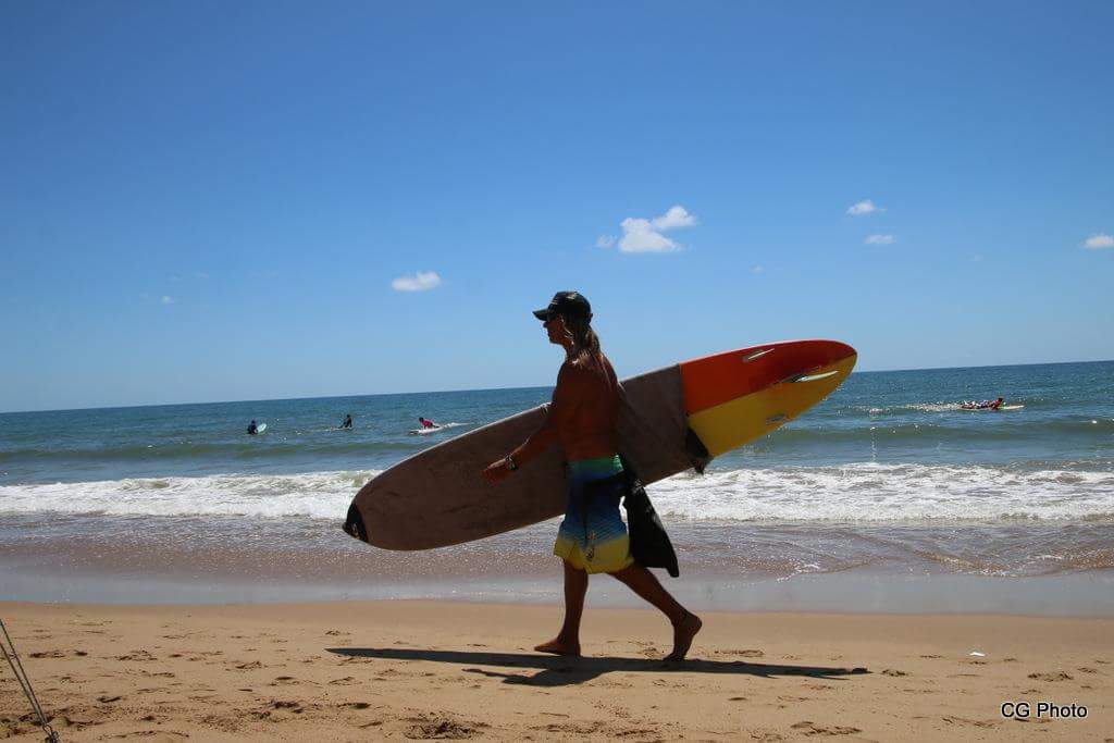 Moondoggie Beach and Bush Tours |  | 785 Round Hill Rd, Captain Creek QLD 4677, Australia | 0407118390 OR +61 407 118 390