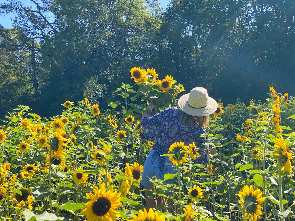 The Bloom Barn Farm | 1154 Peats Ridge Rd, Peats Ridge NSW 2250, Australia | Phone: 0455 246 789