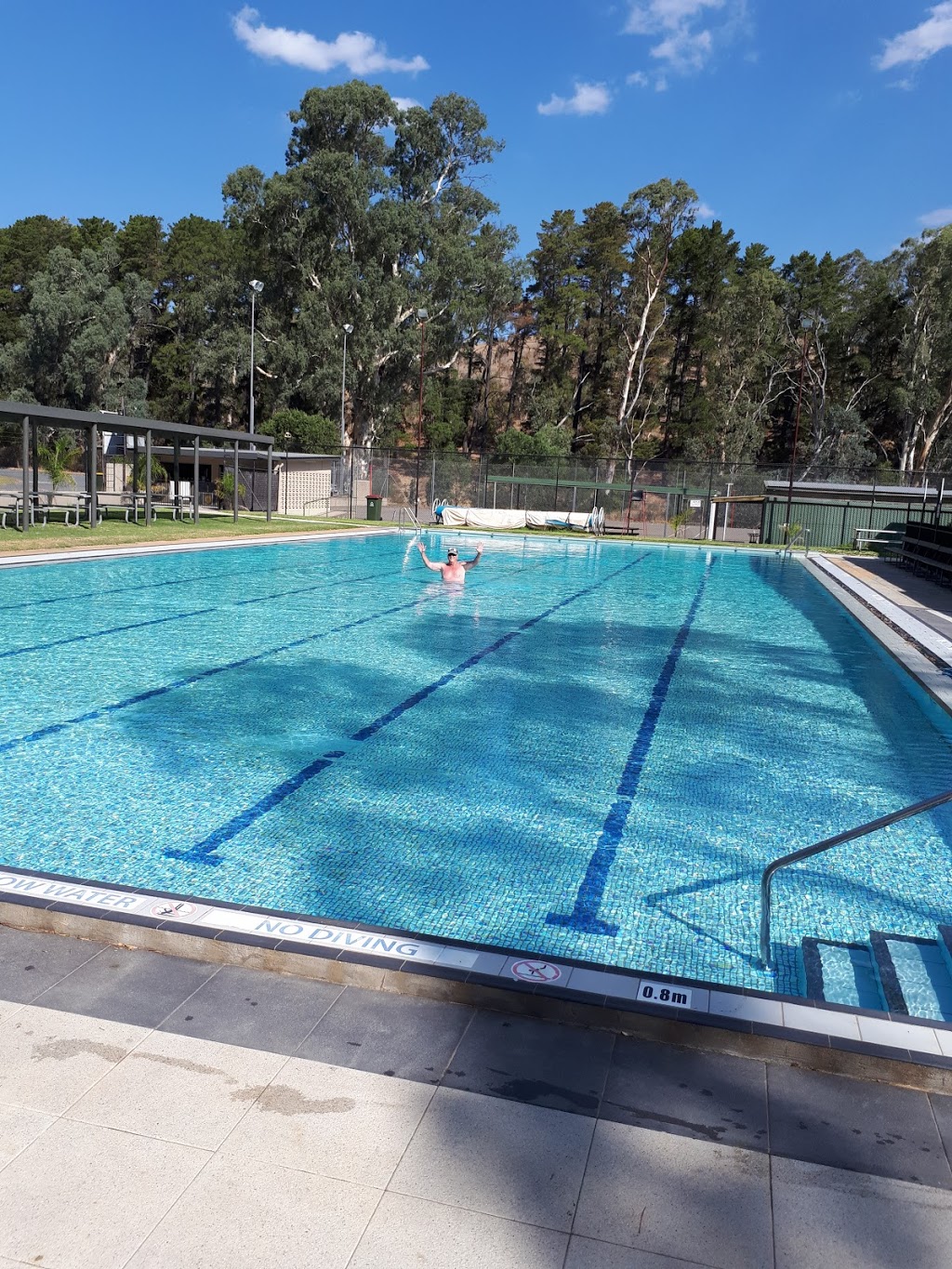 Williamstown Swimming Pool | 15 Springton Rd, Williamstown SA 5351, Australia | Phone: (08) 8524 6363