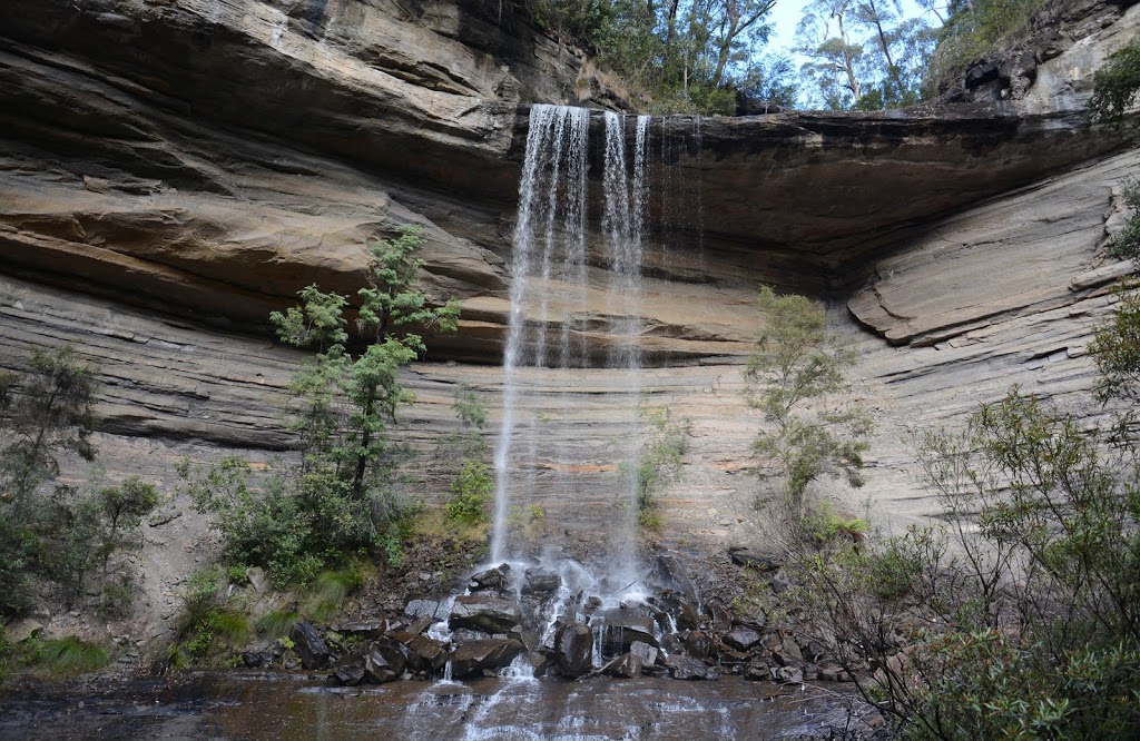 Blue Mountains Tours | 14 Cliff Dr, Katoomba NSW 2780, Australia | Phone: 0498 507 873