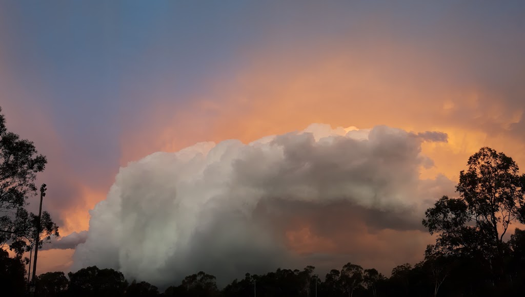 Knights Field - Fred Caterson Reserve, Caterson Dr, Castle Hill NSW ...