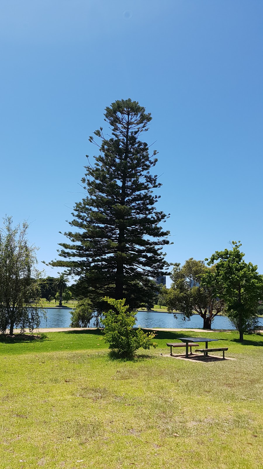 Albert Park Lake | park | Albert Park VIC 3206, Australia