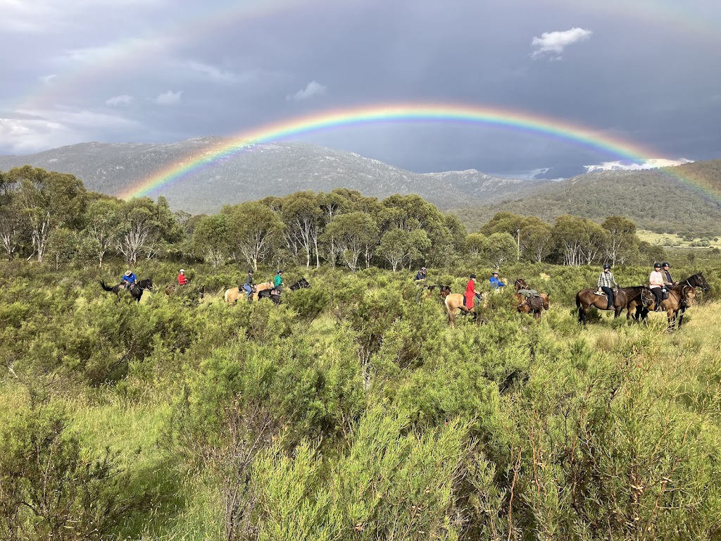 Newmarket Saddlery | 30 Main St, Cudal NSW 2864, Australia | Phone: 0414 942 227