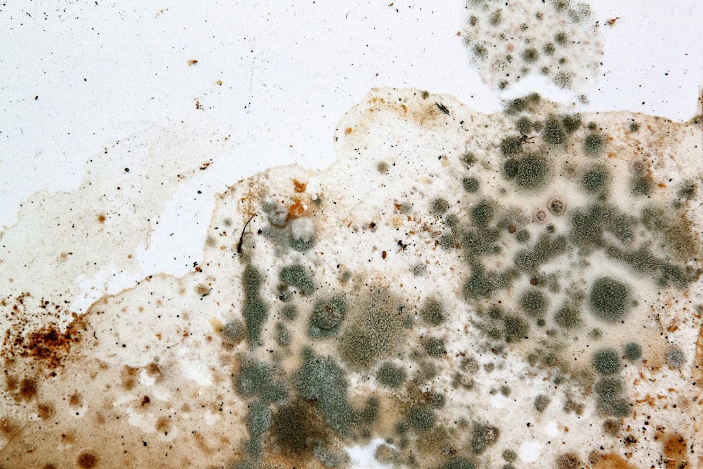 Lockyer Cleaning and Restoration | 115 Olive Grove Dr, Adare QLD 4343, Australia | Phone: 0408 979 505