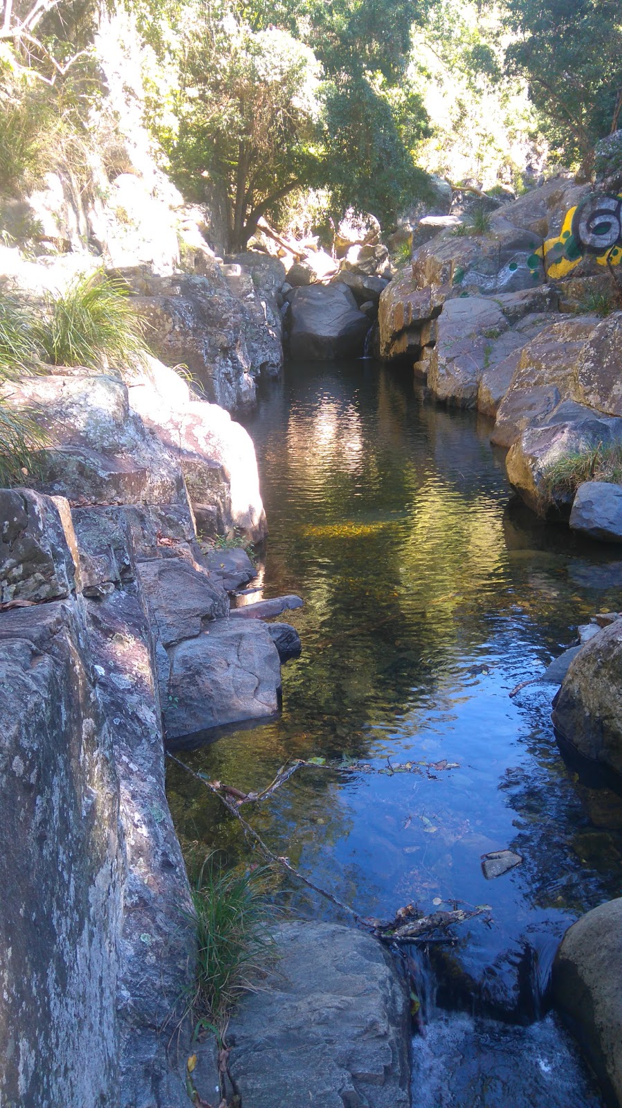 Cedar Creek Falls | Cedar Creek QLD 4520, Australia