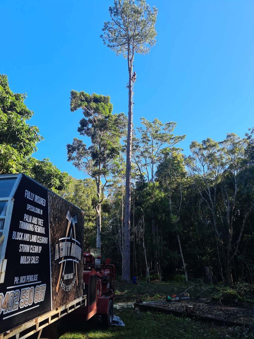 A cutt above tree services | 215 Sleepy Hollow Rd, Sleepy Hollow NSW 2483, Australia | Phone: 0402 590 687