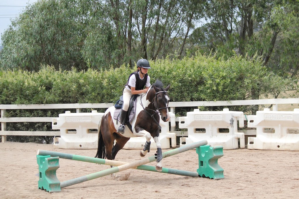 Valley Park Riding School | 86 Obriens Ln, Templestowe VIC 3106, Australia | Phone: 0475 000 088