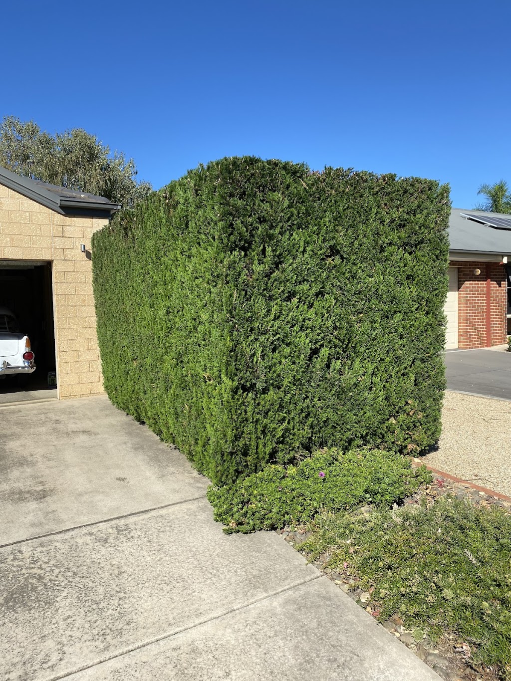 Precision Gardens | 10 Currawong Dr, Wangaratta VIC 3677, Australia | Phone: 0413 283 349