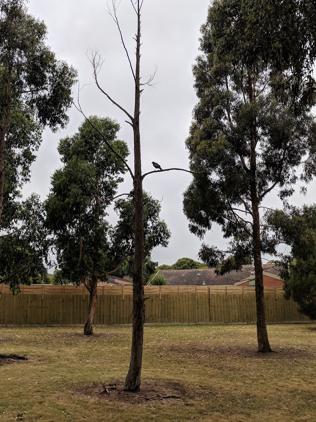 Walker Reserve | park | Wantirna South VIC 3152, Australia