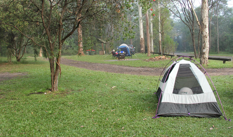 Mill Creek campground | campground | Mill Creek Road, Gunderman NSW 2775, Australia | 1300072757 OR +61 1300 072 757
