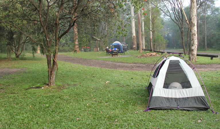 Mill Creek campground | Mill Creek Road, Gunderman NSW 2775, Australia | Phone: 1300 072 757