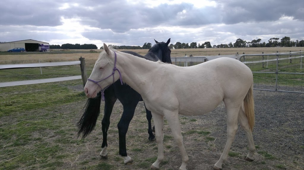 Yarrabee Farm - Horse Agistment |  | 246 Gearys Ln, Ballan VIC 3342, Australia | 0473350000 OR +61 473 350 000