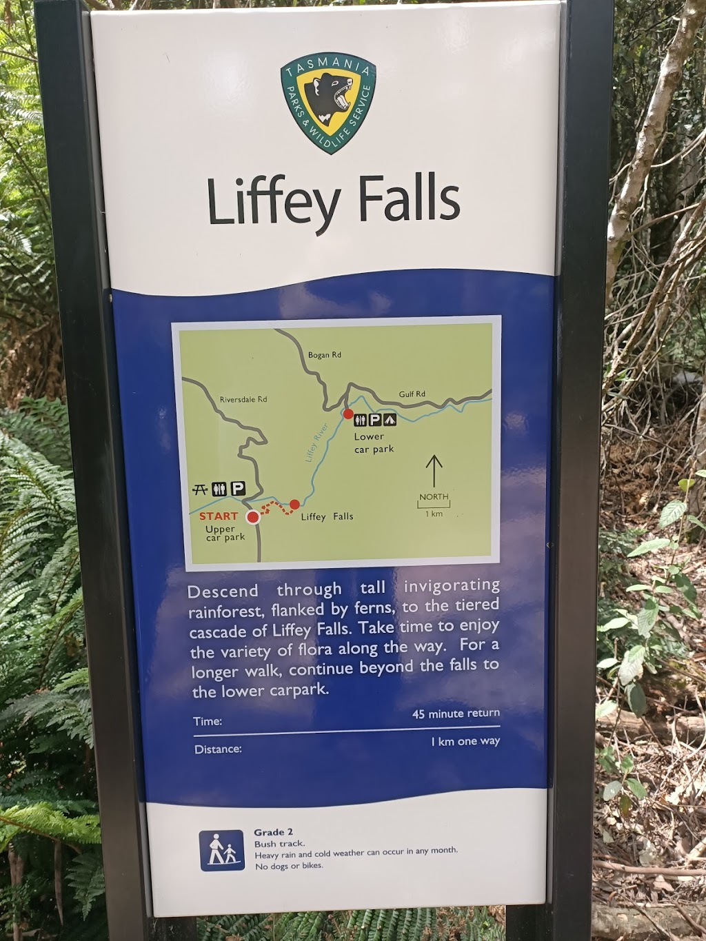 Liffey Falls Upper Carpark | parking | Riversdale Rd, Liffey TAS 7301, Australia