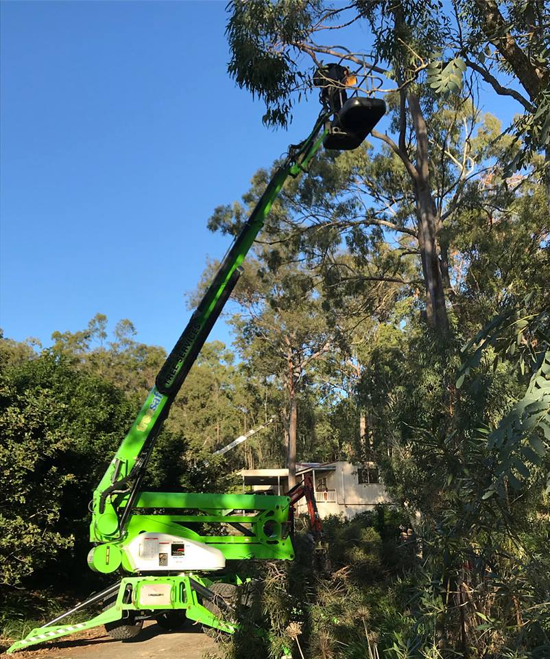 Treesafe Environmental Services | 84 Veivers Rd, Wolffdene QLD 4207, Australia | Phone: 1300 554 048