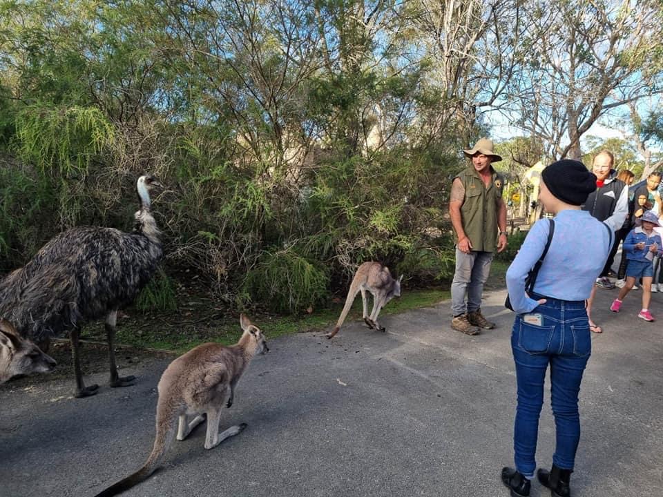 Jake Cassar Bushcraft | 1 Darkinjung Rd, Calga NSW 2250, Australia | Phone: 0405 424 124