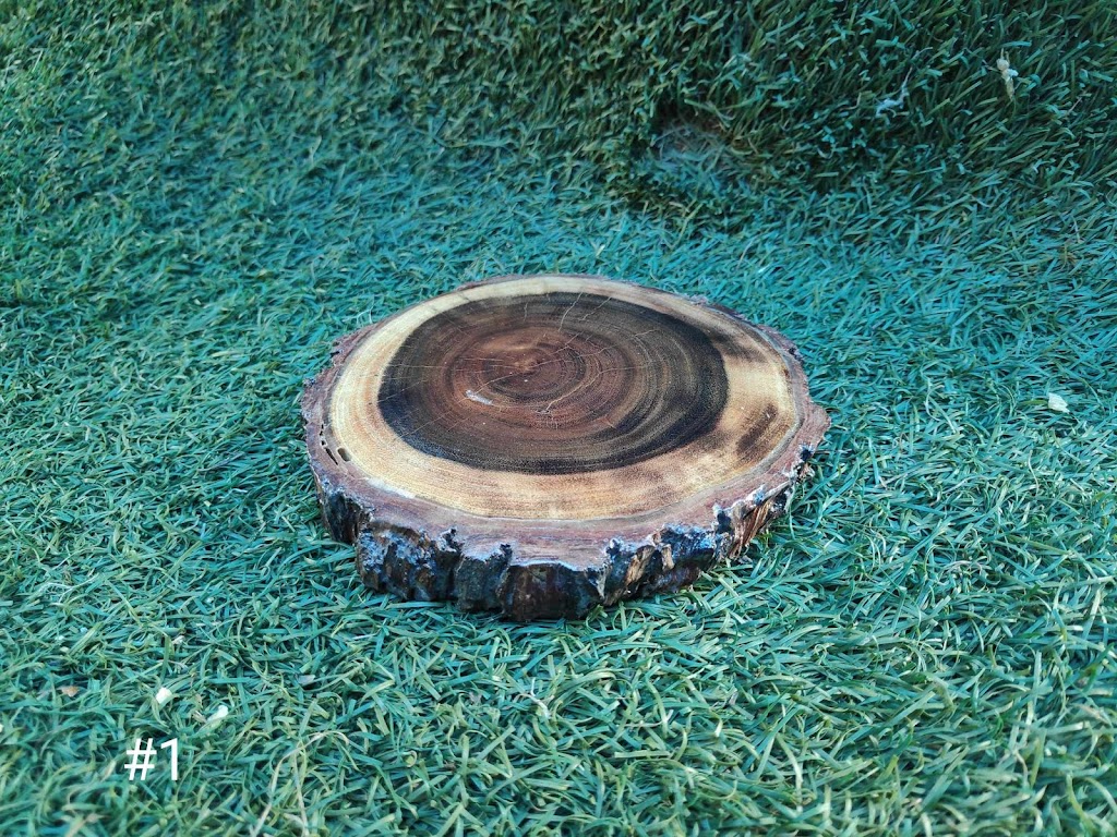 Four Bees in a Pod | Gatton QLD 4343, Australia | Phone: 0481 385 055