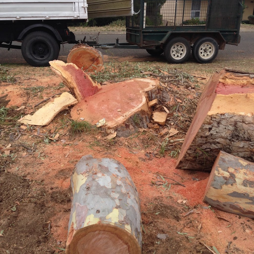 Goolwa Tree Lopping And Removal |  | 2 Holme Cl, Goolwa Beach SA 5214, Australia | 0401942290 OR +61 401 942 290