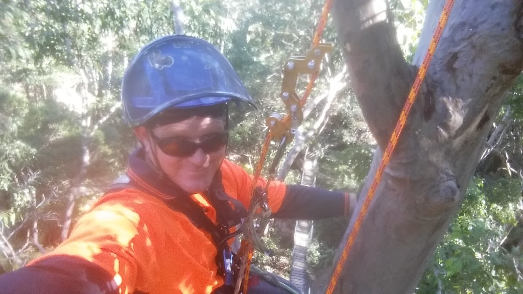 Aussie Tree Care | 16 Tillyroen Rd, Ormeau Hills QLD 4209, Australia | Phone: 1300 873 300