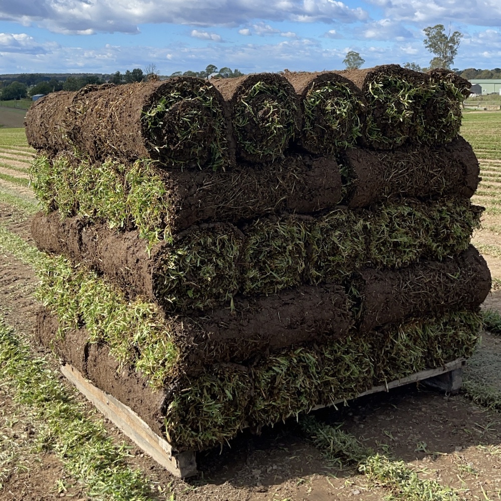 Direct Turf | 147 Wilberforce Rd, Wilberforce NSW 2756, Australia | Phone: 0409 451 086