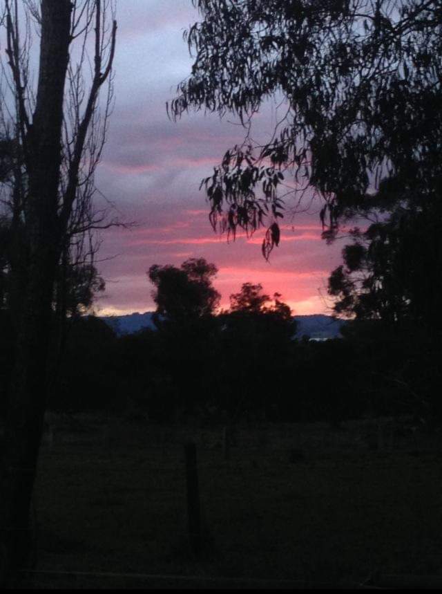 Cockatoo Recreation Reserve | park | Mountain Rd, Cockatoo VIC 3781, Australia | 131963 OR +61 131963