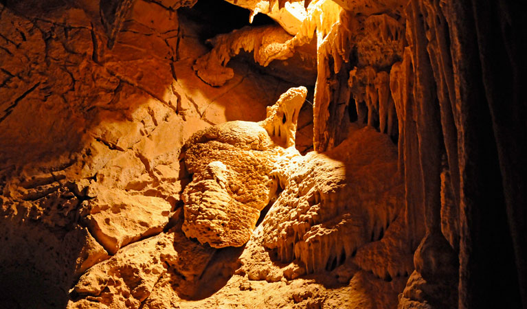 Fig Tree Cave | tourist attraction | Caves Track, Wombeyan Caves NSW 2580, Australia | 0248435976 OR +61 2 4843 5976