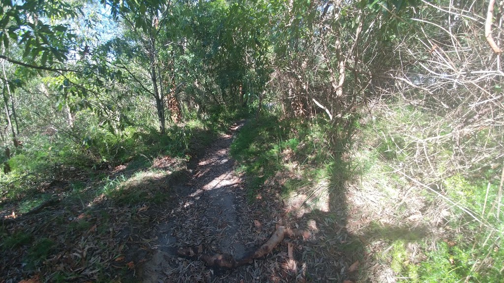 Bush trail | gym | Oyster Bay NSW 2225, Australia