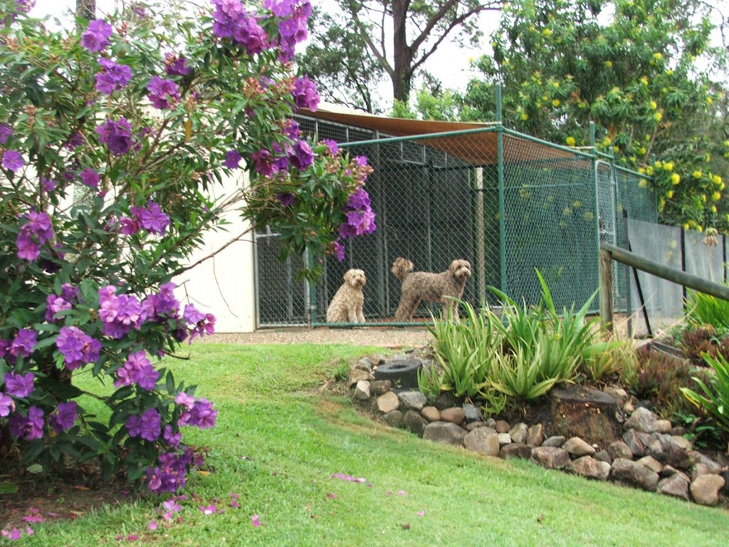 Animal Stars Dog Training | 81 Whittings Rd, Guanaba QLD 4210, Australia | Phone: 0419 032 996