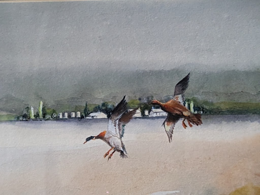 Kerry Anne Sullivans Art Studio | 13 Kanyanya Ave, Clifton Springs VIC 3222, Australia | Phone: 0418 120 106