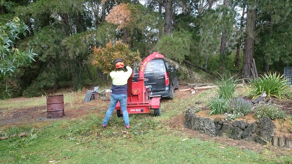 Gippsland Stump Grinding Services | 4 Dalpura Ct, Churchill VIC 3842, Australia | Phone: 0402 733 963