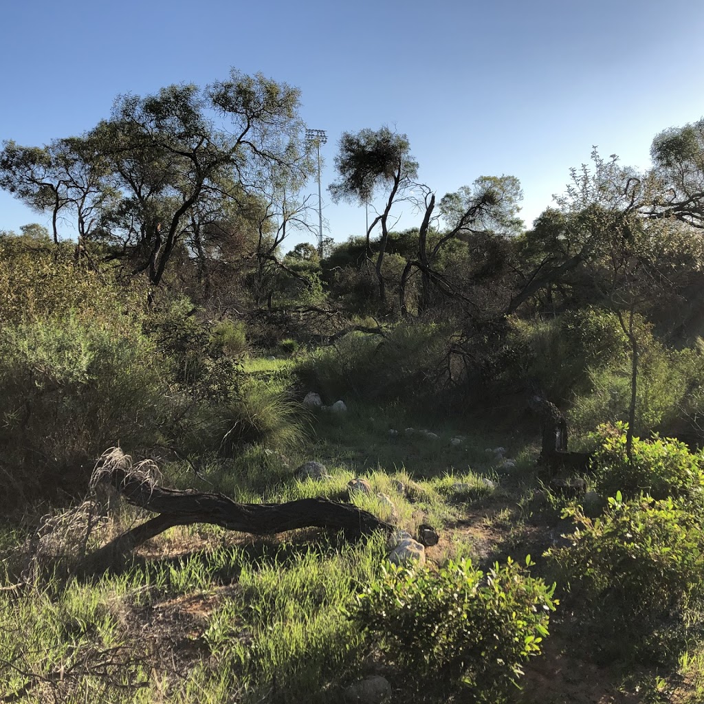 Wonthella Bushland Reserve | park | 299 Eighth St, Wonthella WA 6530, Australia