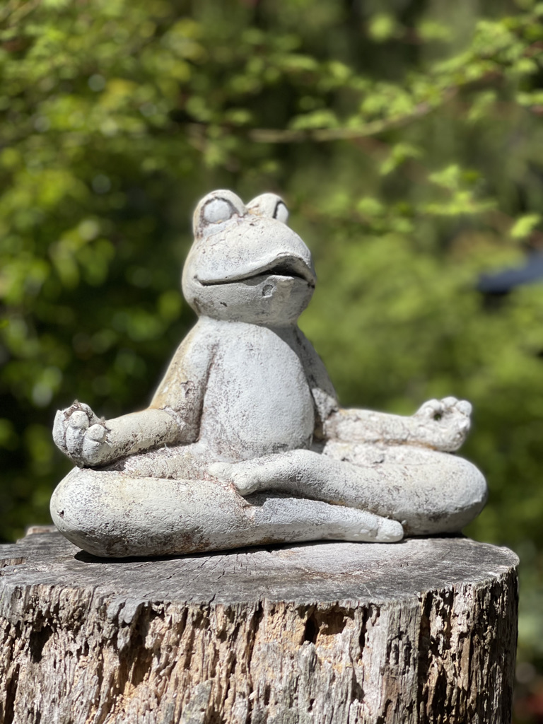 The Medicine Wheel Retreat | 32 Hanging Rock Rd, Sutton Forest NSW 2577, Australia | Phone: 0416 968 499