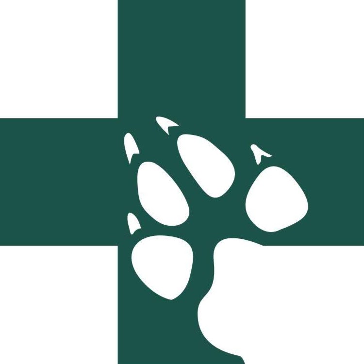 Goulburn Veterinary Clinic | veterinary care | 62 Union St, Goulburn NSW 2580, Australia | 0248221533 OR +61 2 4822 1533