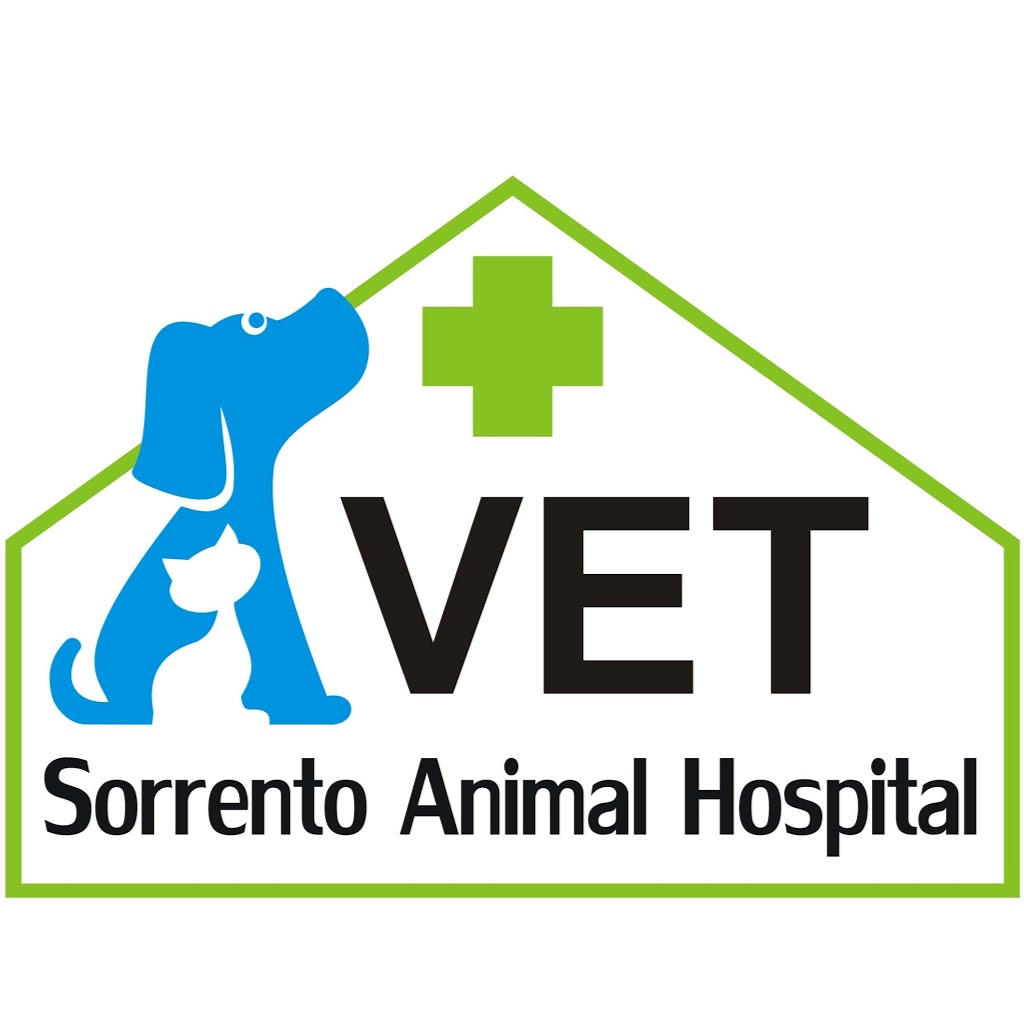 Sorrento Animal Hospital | veterinary care | 4/15 Harman Rd, Sorrento WA 6020, Australia | 0863233520 OR +61 8 6323 3520