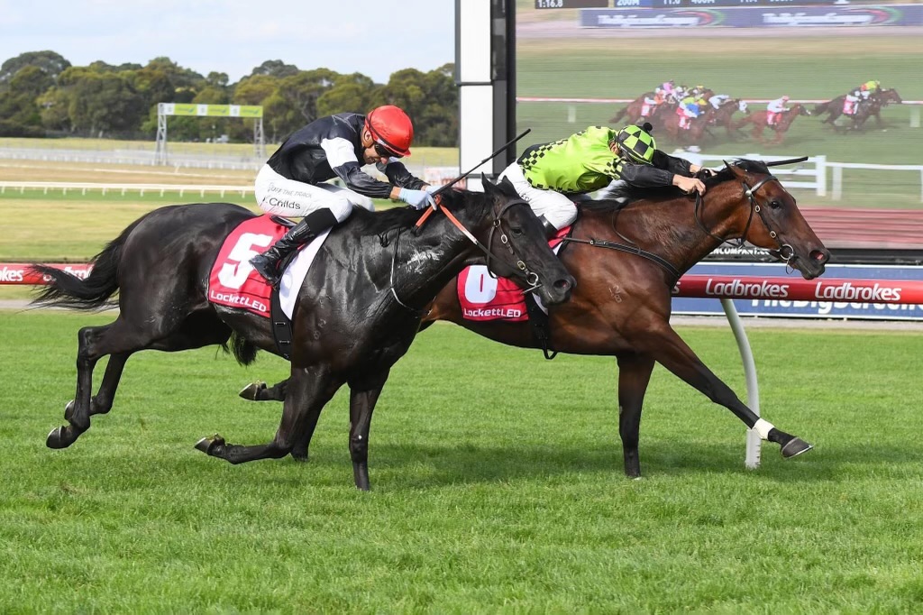 Erin Maher Racing | 32 Racecourse Rd, Ascot VIC 3551, Australia | Phone: 0438 800 975