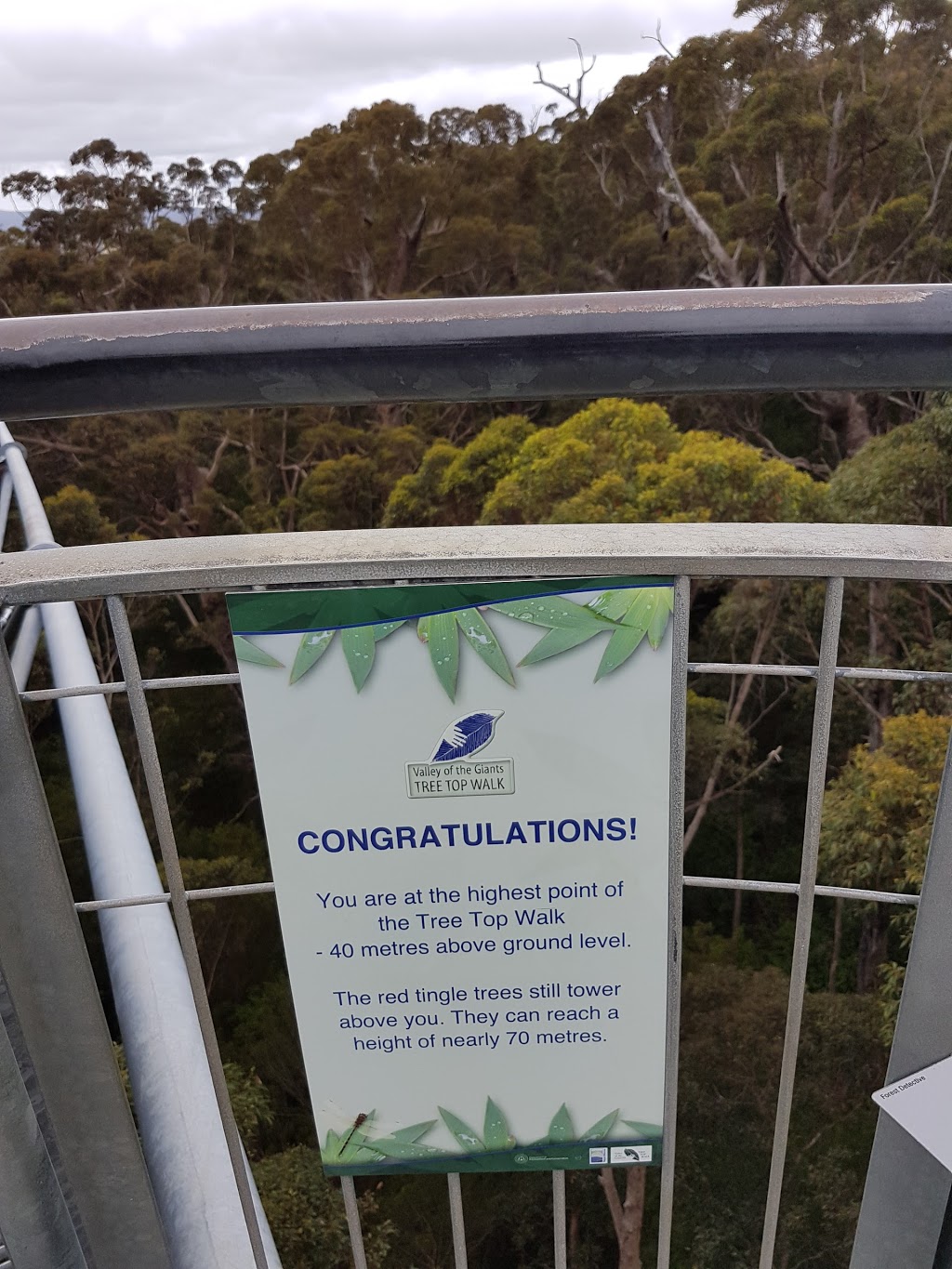 Valley of the Giants Tree Top Walk | Valley of the Giants Rd, Tingledale WA 6333, Australia | Phone: (08) 9840 8263