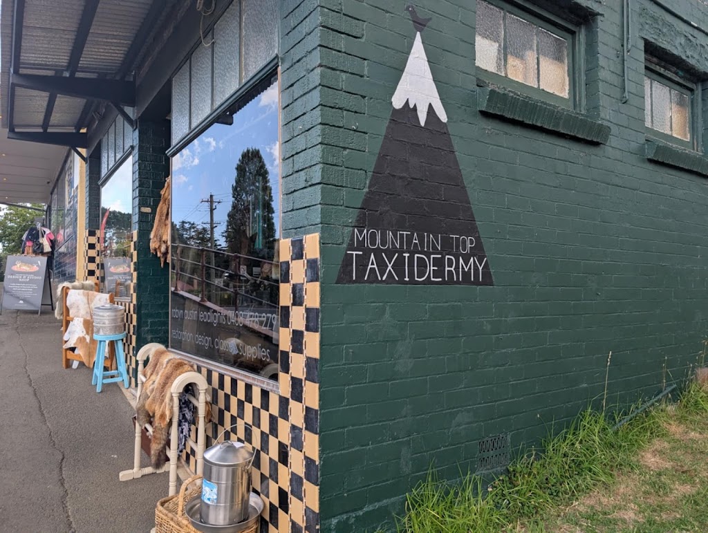 Mountain Top Taxidermy & Robyn Austin Leadlights | 113 Great Western Hwy, Mount Victoria NSW 2786, Australia | Phone: 0408 478 279