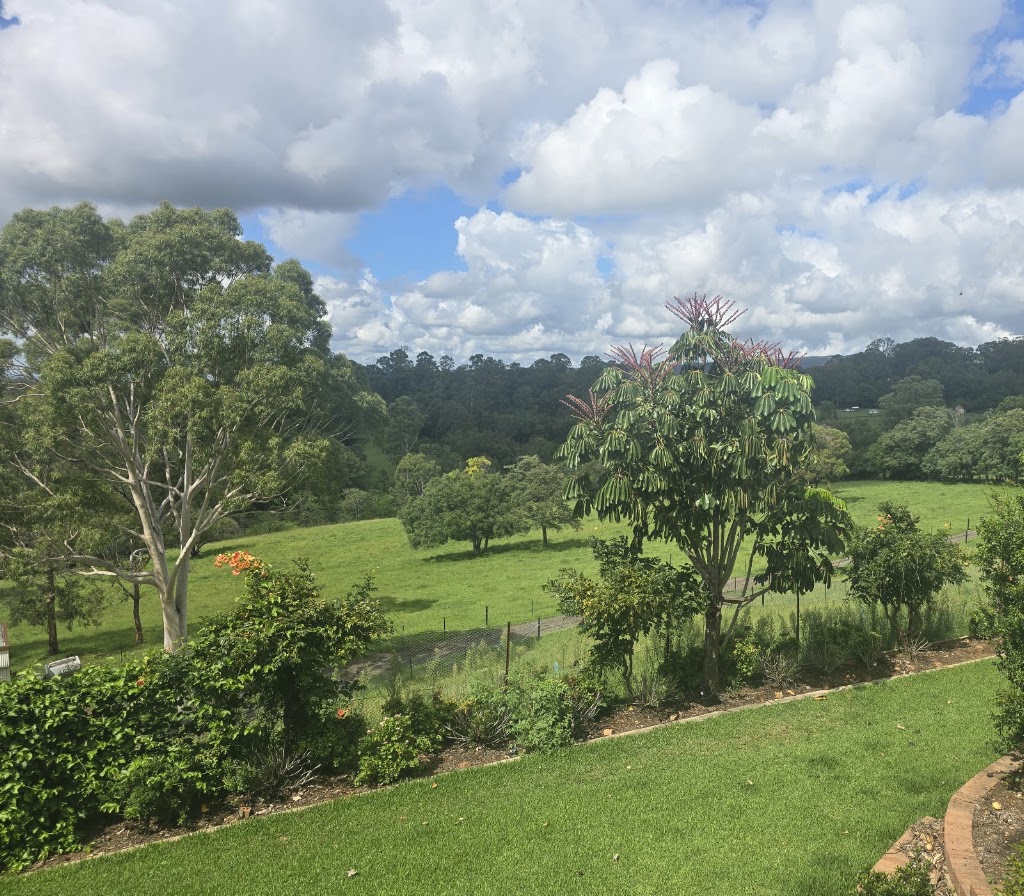 Crestview Minis - Highland Galloway Minature Cow Experience | Bells Rd, Grose Vale NSW 2753, Australia | Phone: 0414 700 540