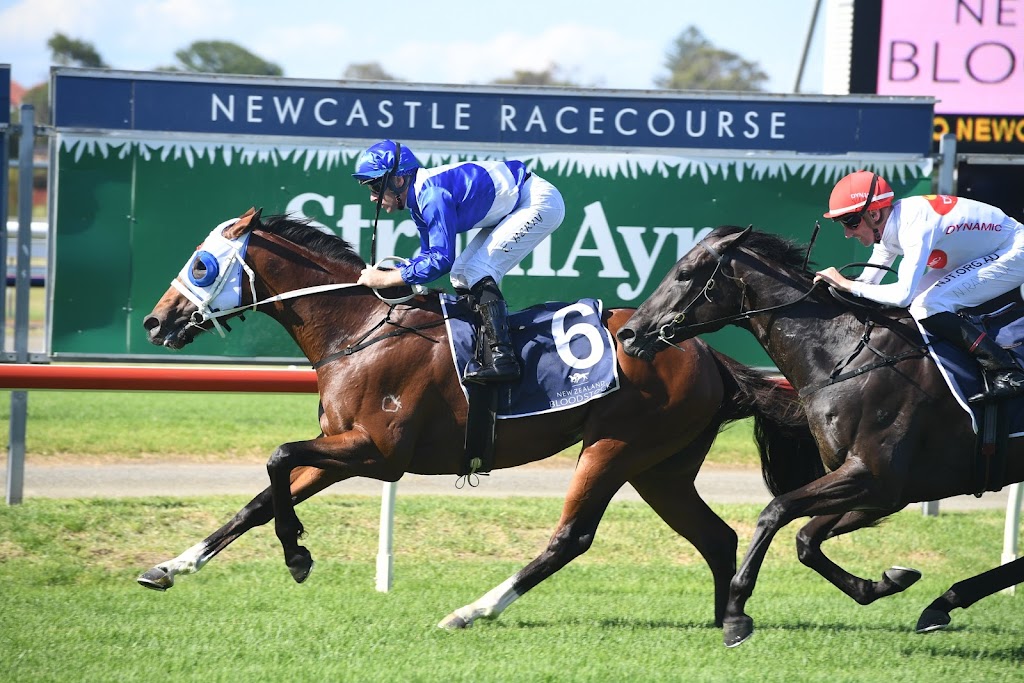 The Beauford Club of Newcastle |  | Newcastle Racecourse, Darling St, Broadmeadow NSW 2292, Australia | 0434604706 OR +61 434 604 706